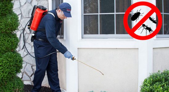 Egekent Akrep İlaçlama böcek ilaçlama ve haşere kontrolü — ilaclama-tr.com